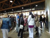 Voice Male 18.6.2016 031